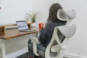 Comprehensive Guide to Ergonomic Desk Chairs