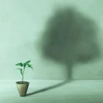 Creating the Right Conditions for Mental Wellness and Emotional Stability