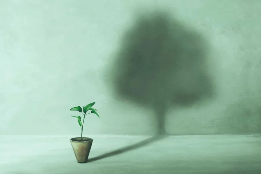 Creating the Right Conditions for Mental Wellness and Emotional Stability