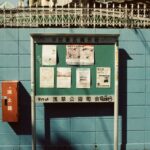 Blue Box, Cyberpunk: Edgerunners, and the New Rules of Binge-and-Bet Weekends
